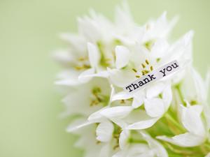 デバイスタイル取り扱いのネット通販